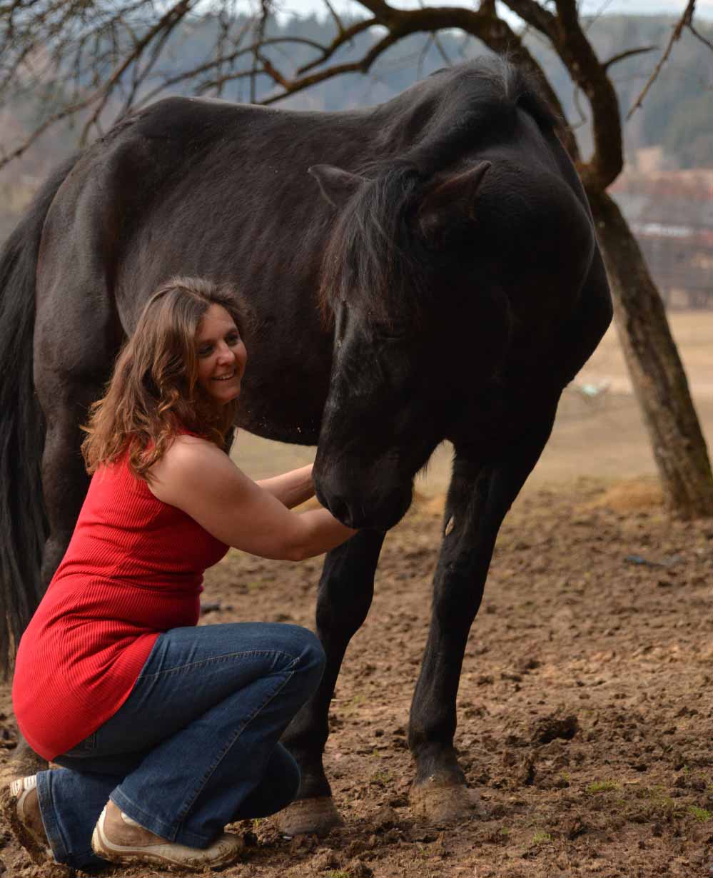 Mobile-Shiatsu--und-klassische-Tiermassage-Graz-und-Umgebung---Merlin